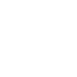 Templar Titan Ammo Logo